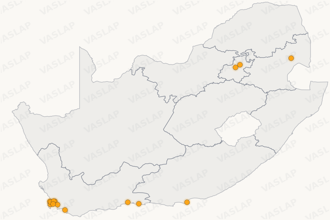 Store distribution across South Africa