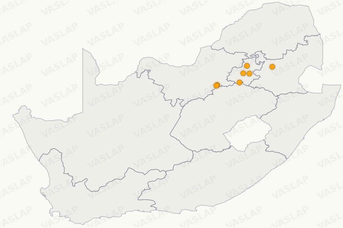 Store distribution across South Africa